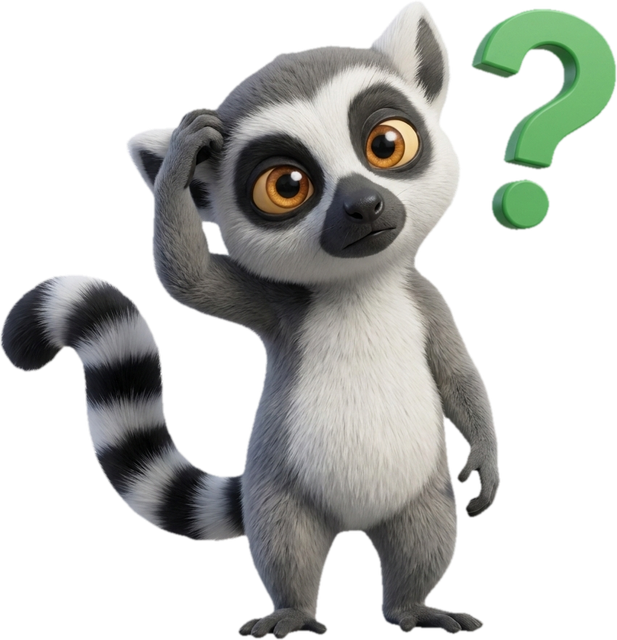 Lucas, la mascotte du Dojo, s'interroge sur ce qu'on peut vraiment apprendre gratuitement