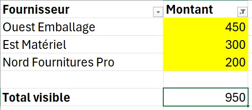 Tableau filtré sur les montants jaunes, dont la ligne Total visible n’additionne que les trois montants affichés