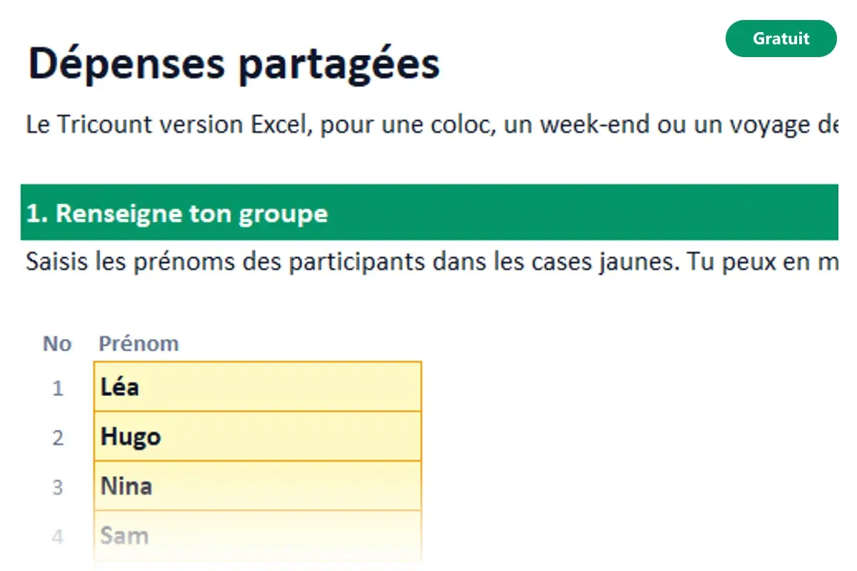 Aperçu du modèle Excel Dépenses partagées
