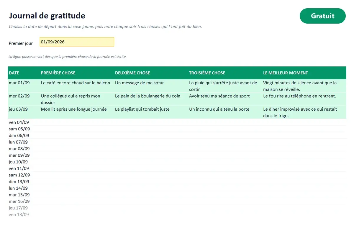 Aperçu du modèle Excel Journal de gratitude