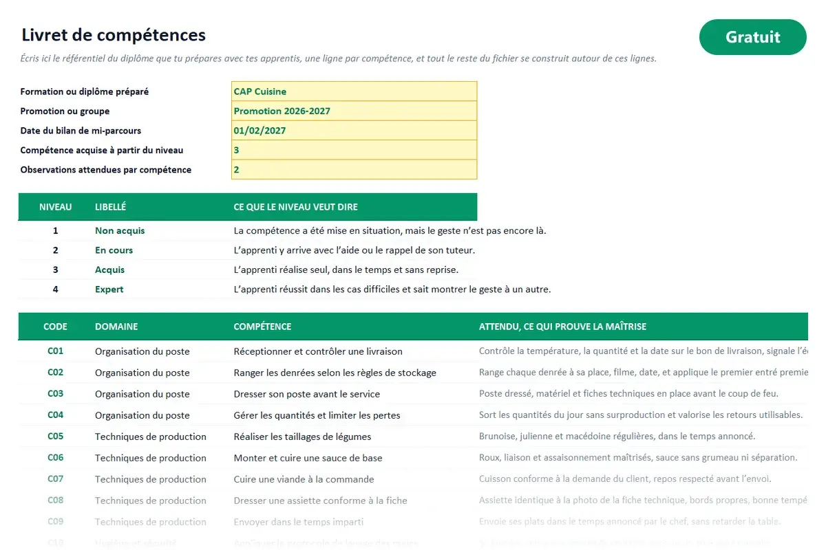 Aperçu du modèle Excel Livret de compétences