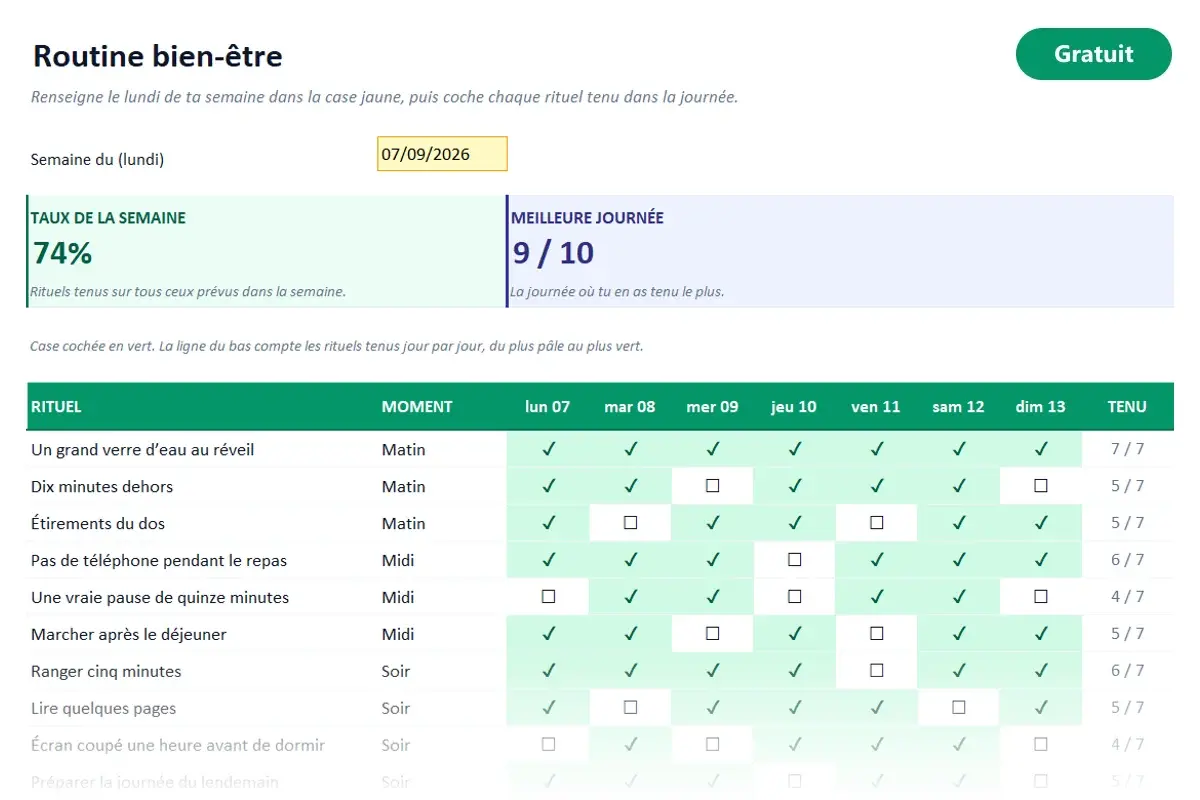 Aperçu du modèle Excel Routine bien-être