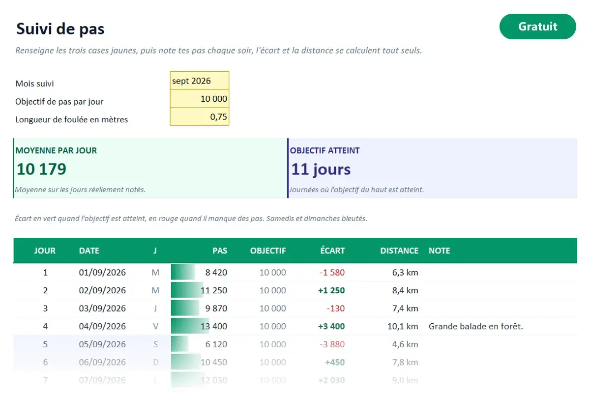 Aperçu du modèle Excel Suivi de pas