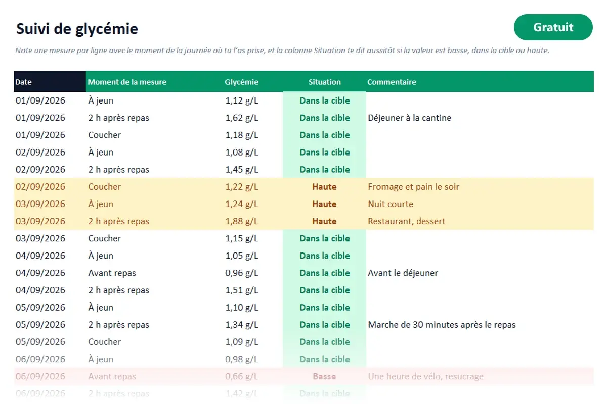 Aperçu du modèle Excel Suivi de glycémie