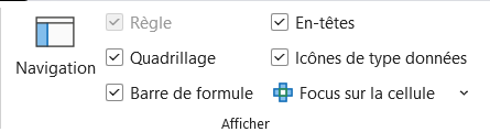 Groupe Afficher du ruban Excel, onglet Affichage, avec les cases Règle, Quadrillage, Barre de formule, En-têtes et Icônes de type données.