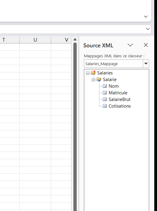 Volet Source XML d'Excel affichant l'arborescence du schéma de déclaration sociale prête à être glissée vers les colonnes de la feuille