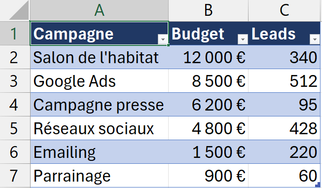 Reporting de campagnes marketing Excel dont le tableau a pris les couleurs bleu marine du thème personnalisé aux couleurs de la charte du client