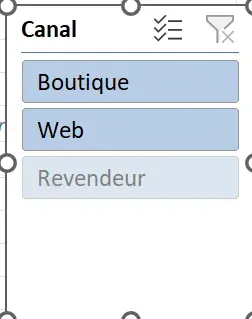 Le segment Canal après le remplacement de Revendeur par Web, le bouton Revendeur grisé en fin de liste