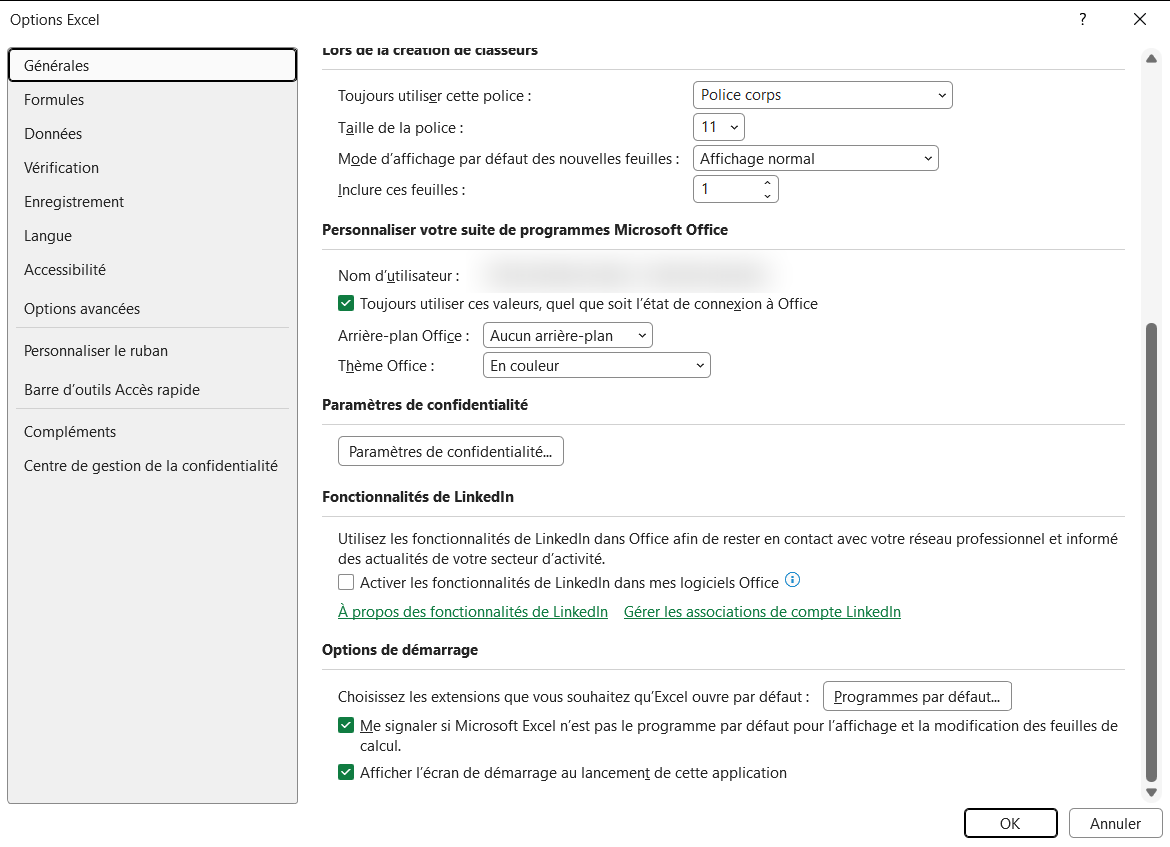 Fenêtre Options Excel, page Générales, section Lors de la création de classeurs, avec les réglages Toujours utiliser cette police et Taille de la police